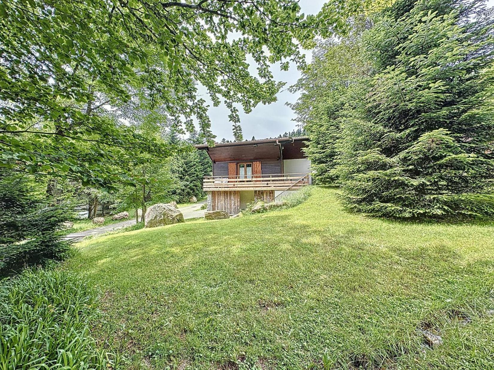 Le Chalet Des Belles Roches, La Bresse Hohneck Villa Esterno foto
